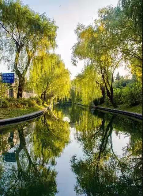 園林要怎么樣設(shè)計(jì)才好看？告訴大家這個(gè)小技巧