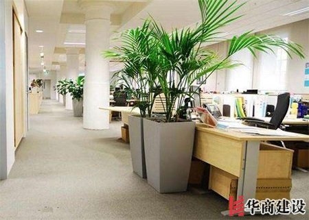 辦公室裝修的五大原則，原來(lái)要這樣設(shè)計(jì)！