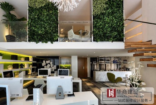 辦公室裝修中綠植是不可或缺的！為什么呢？